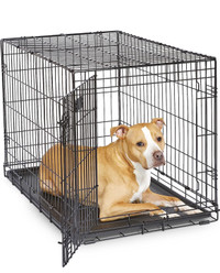 MidWest iCrate Folding Dog Crate (mid-large breeds)