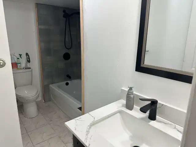 1 Bedroom Walkout Apartment  in Long Term Rentals in Mississauga / Peel Region - Image 4