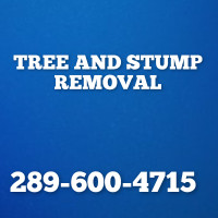 AFFORDABLE TREE REMOVAL 289-600-4715
