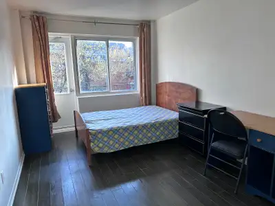Downtown Near McGill All Included Furnitured Studio for Rent !!!