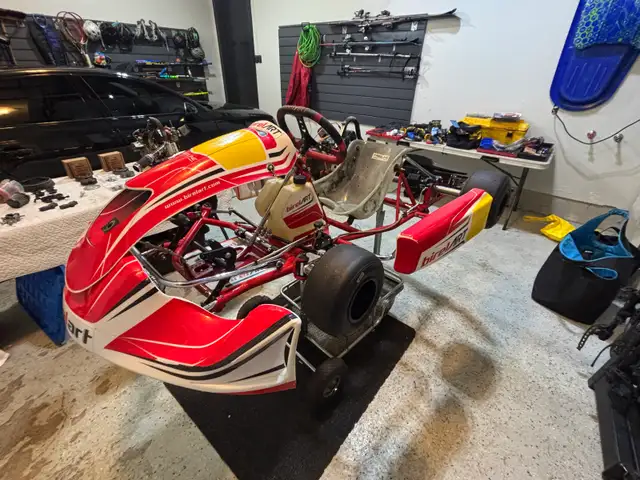 Birel ART AM29 S11 and 2 Briggs & Stratton Engines - Your in Other in City of Toronto - Image 9