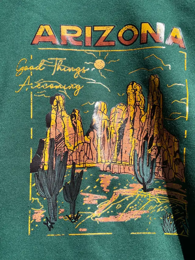 Arizona Vintage Green Sweater in Men's in Gatineau - Image 3