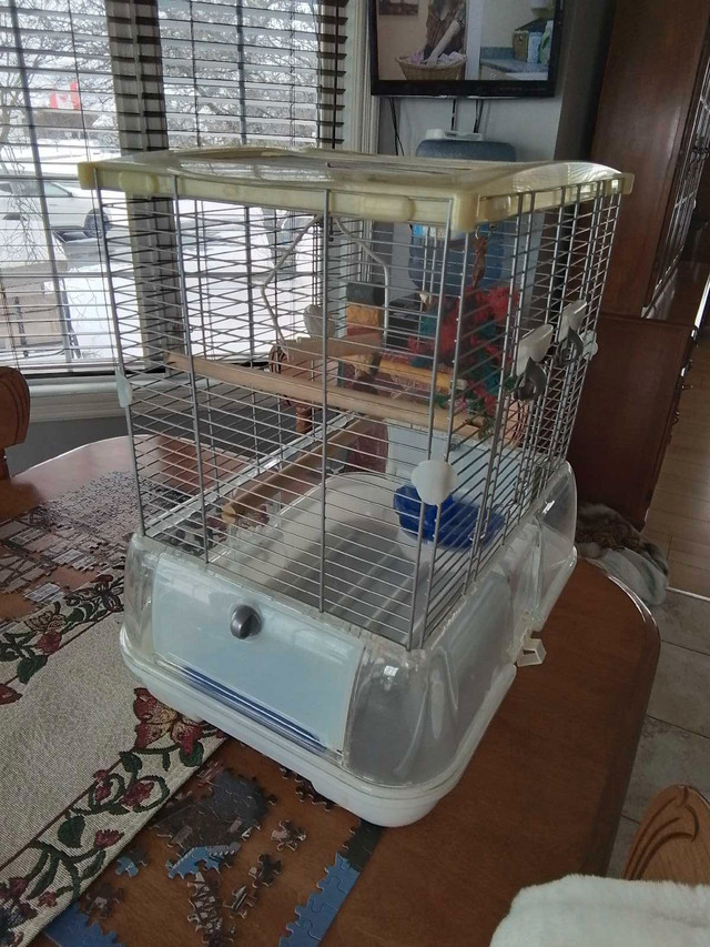 À vendre cage pour oiseaux  dans Oiseaux à adopter  à Saint-Hyacinthe - Image 2