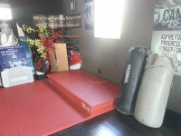Martial Art Training Equipment - Punching / Kicking Bags - Mats