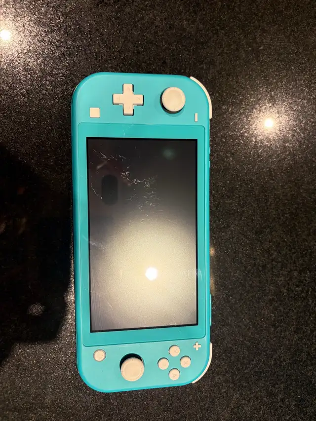 Nintendo Switch Lite With Charger 563811874138368005