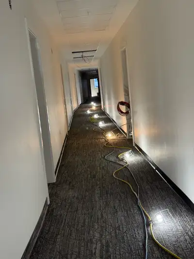 insured and wcb covered flooring installer, View more