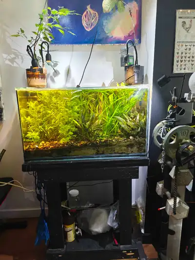 aquarium rimless 33g  avec stand , View more