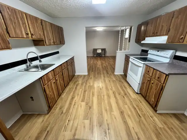 Basement for rent. 