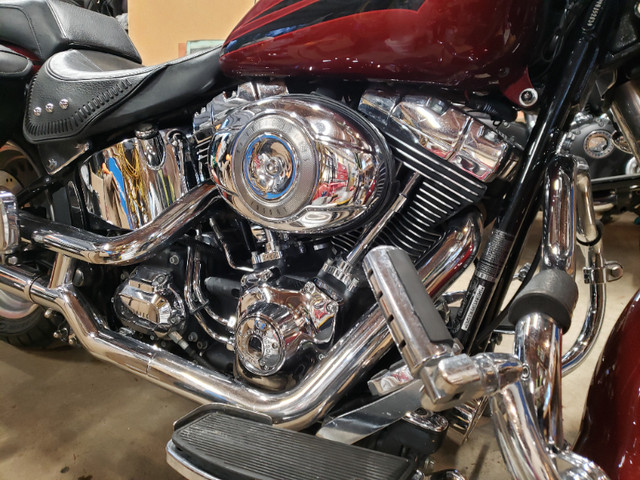 Here's your ride in the spring !!! in Street, Cruisers & Choppers in Kawartha Lakes - Image 4
