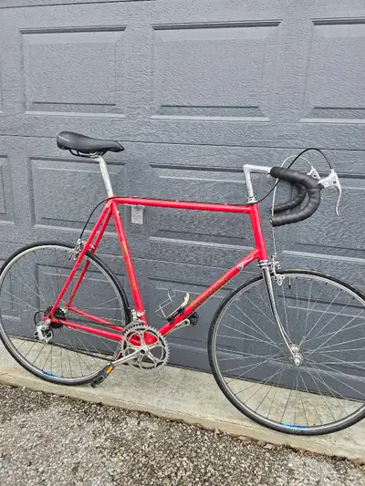 Bianchi Piagio road bike XL frame, View more