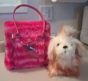 Pucci Pups Maltese with Trendy Carrier