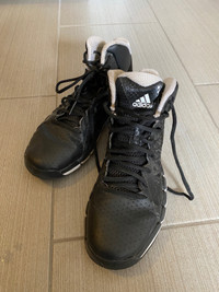 Adidas Basketball shoes (men)