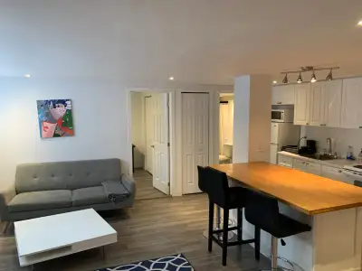 Appartement 4 1/2 meublé et moderne , ensoleillé et meublé entièrement. Facile d’accès- proche du mé...