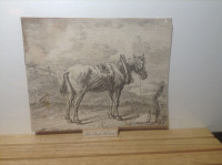 Antiques Engraving Horse