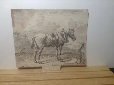 Antiques Engraving Horse, View more