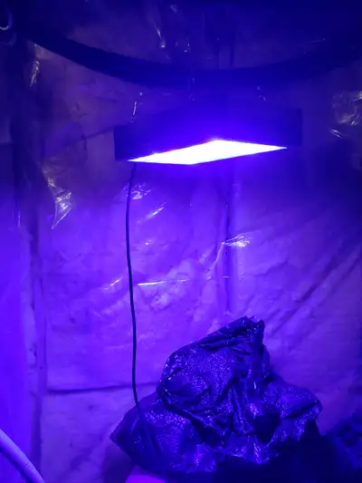 BEST VA 1000W LED Grow Light, View more