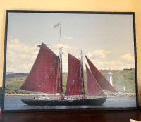 Sailboat Stretched Canvas Framed Print
