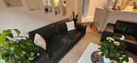 Contemporary black leather couch 