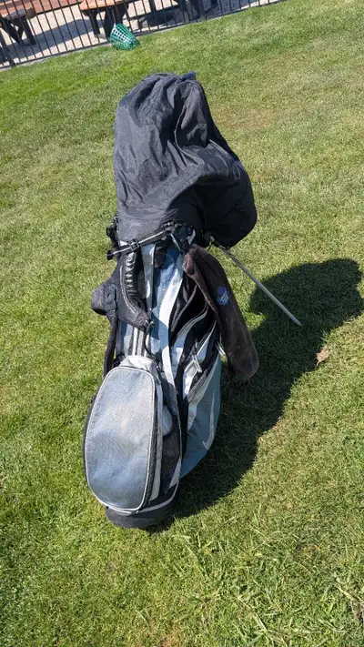 golf bag for sale ($30 obo), View more
