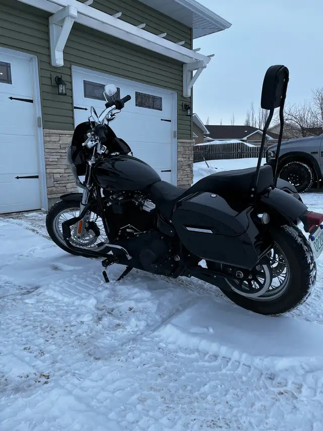 2020 Harley Davidson FXST in Street, Cruisers & Choppers in Saskatoon - Image 3