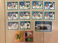 Lot of 14 1988-89 Minnesota North Stars Panini hockey stickers