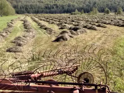 FARMHAND Wanted, View more