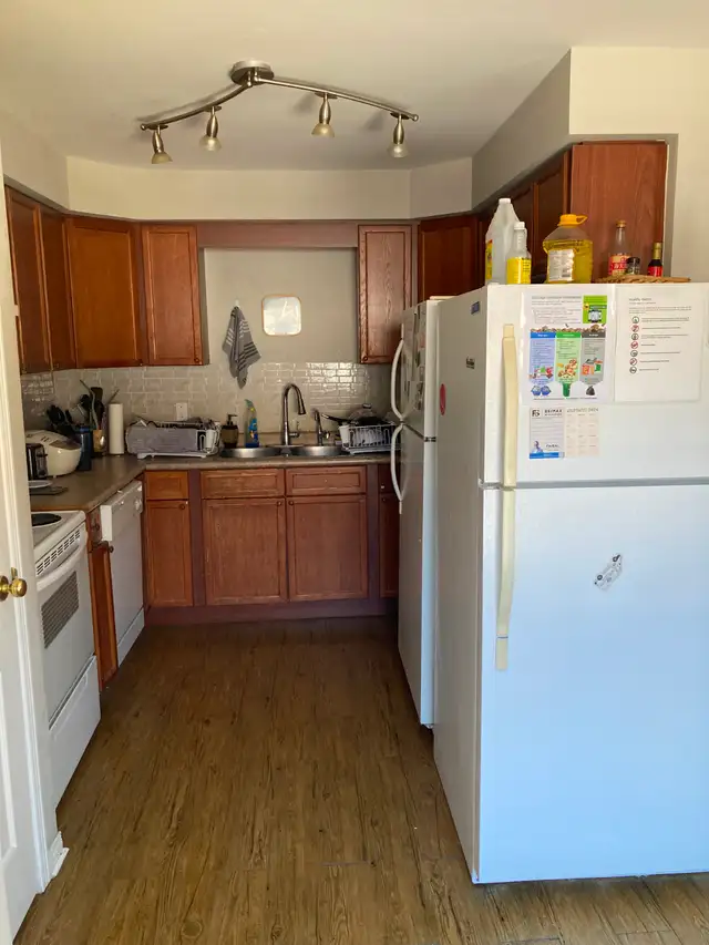 All inclusive _ Respectful Student / Young Professional in Room Rentals & Roommates in Cambridge - Image 8
