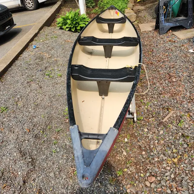 CANOE with PADDLES62864743798531121