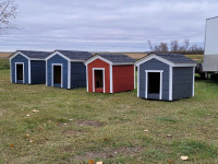 Premium, Fully Insulated Dog Houses