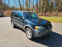 2007 Ford Escape XLT for sale.