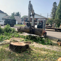 Tree Service & Tree Removal w/ 20" Chipper, Excavator & Mulcher