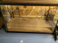 Full fish tank aquarium setup