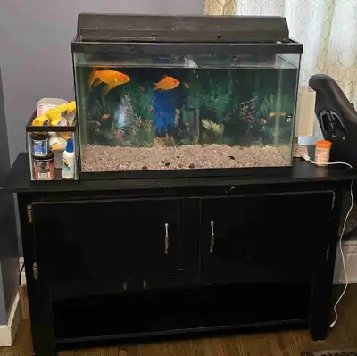 40 gallon fish tank with stand, View more