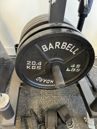 Olympic Barbell and Bumper & Iron Plates