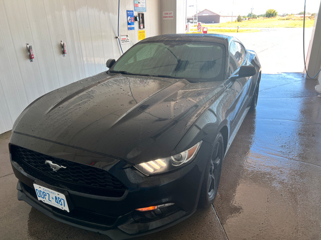 2015 Ford Mustang in Cars & Trucks in Napanee - Image 4