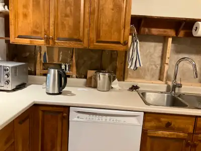 Excellent GE dishwasher. I need more cupboard space in the kitchen so the dishwasher has to go to pr...