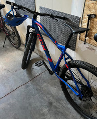 CCM Aspen Bike 26” Modified