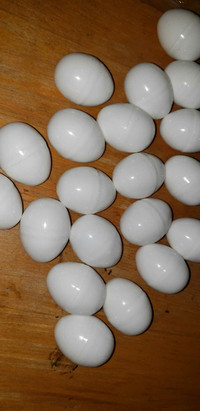 Pigeon plastic eggs 