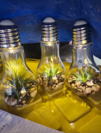 Light Bulb Terrariums, View more