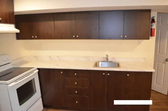 2 BR Walkout Basement Brampton