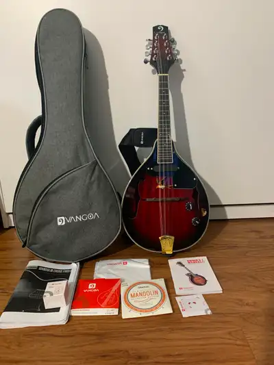 guitare mandoline électrique et acoustique tout équipé, View more