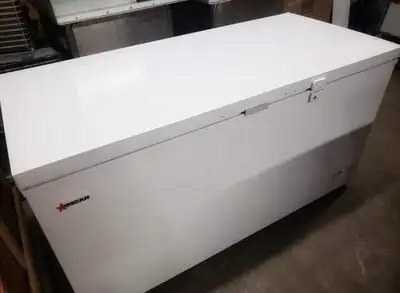 Commercial Solid Door 61" Storage Chest Freezer, View more