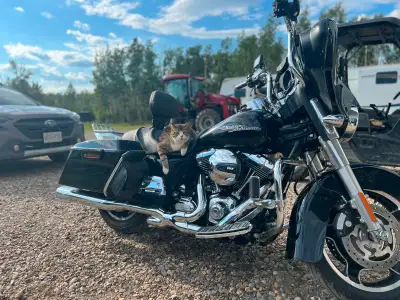 PRICE REDUCTION from $18,500 2011 Street Glide, low mileage 24, 780. This bike has a upgraded 110ci...