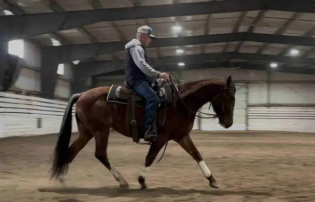 Horseback Riding Lessons64519977121795120