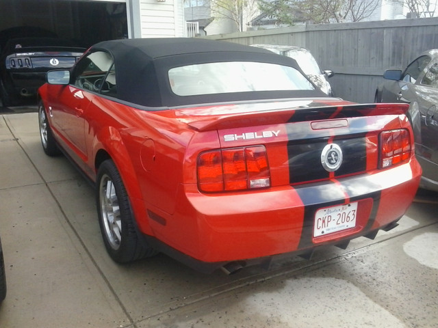 2009 Shelby GT500  Conv 600 hp 5000mi ph 587-four 71-6 one 11 in Cars & Trucks in Calgary - Image 3