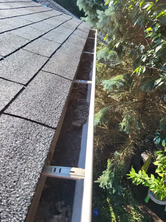 Gutter Matters Eavestrough Services529836167451136002
