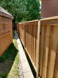 Fence Repair