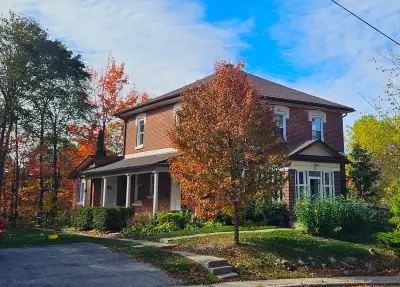 Cozy, clean open concept 1 bedroom apartment, kitchen, living room and bathroom with glass shower. A...