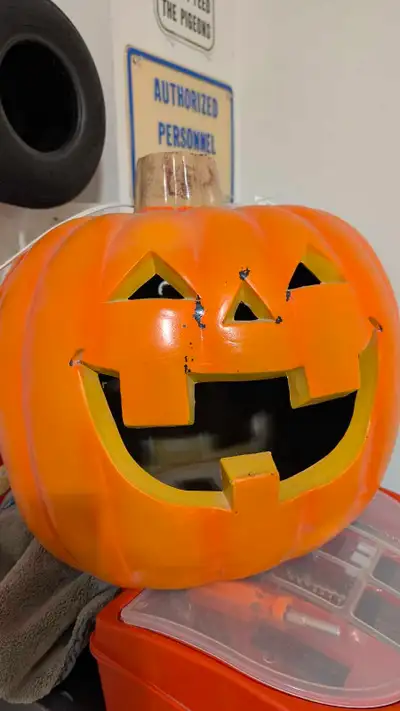 Halloween Pumpkins with light, View more