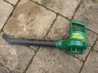 Leaf Blower with extensions